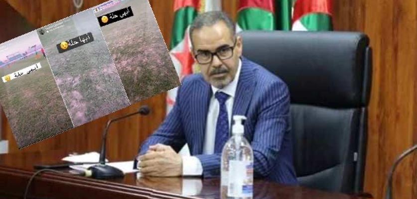 بعد اتهام المغرب.. وزير الرياضة الجزائري: "وضعية أرضية الملعب مؤسفة وعبارة عن فضيحة"